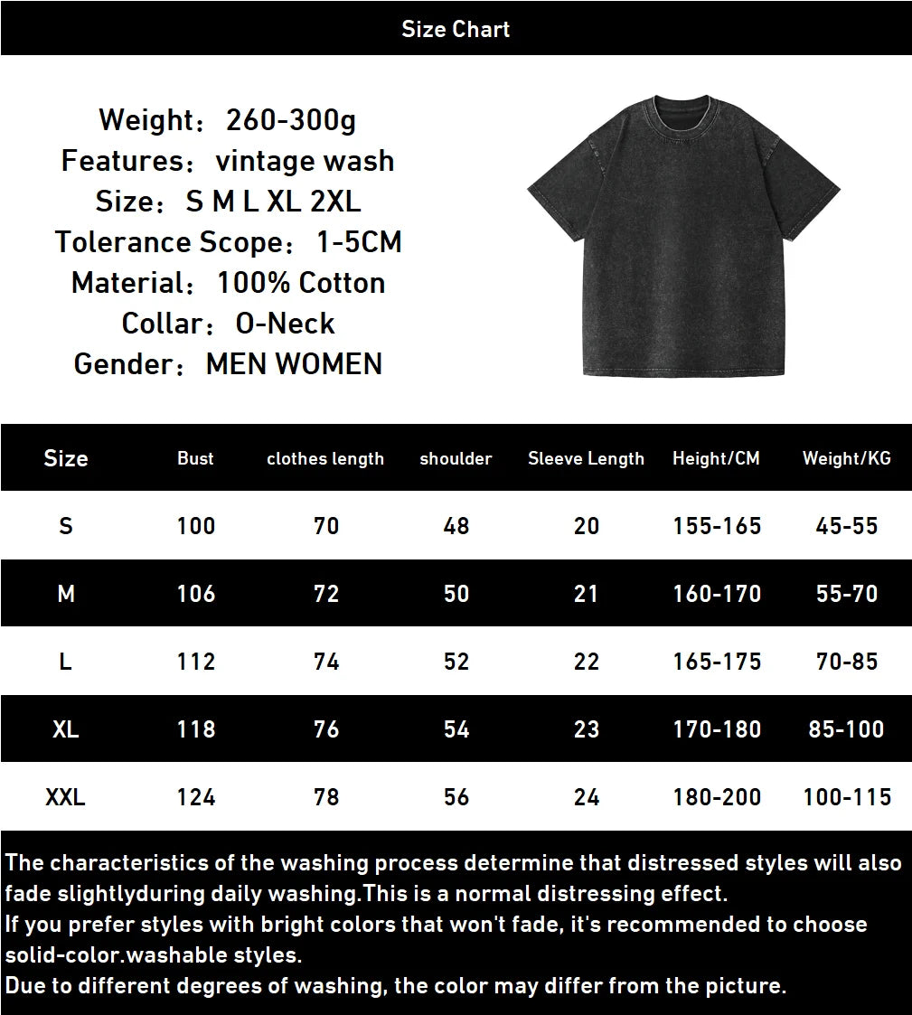 Manga Frieren Graphic T-shirt Casual Pure Cotton Short Sleeve Tees Vintage Washed Oversized T Shirt for Men Women Clothing